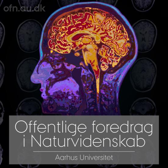 Logo for livestreaming: Den meningsfulde hjerne
