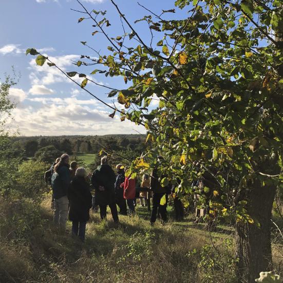 Mennesker samlet på Maglebjerg i Åmosen Foto: Rose Gaihede