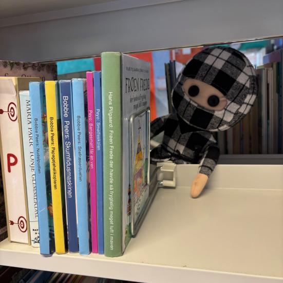 Fotografi af Ternet Ninja bag en bogreol