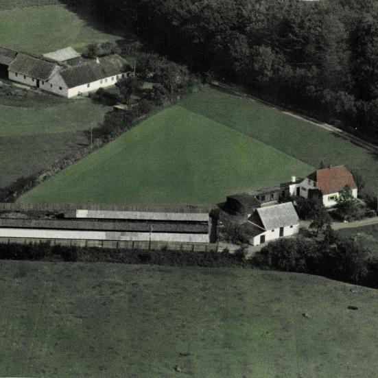 Luftfoto af minkfarm