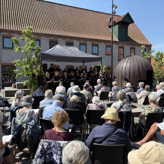 Maratonsang i Sorø 2025