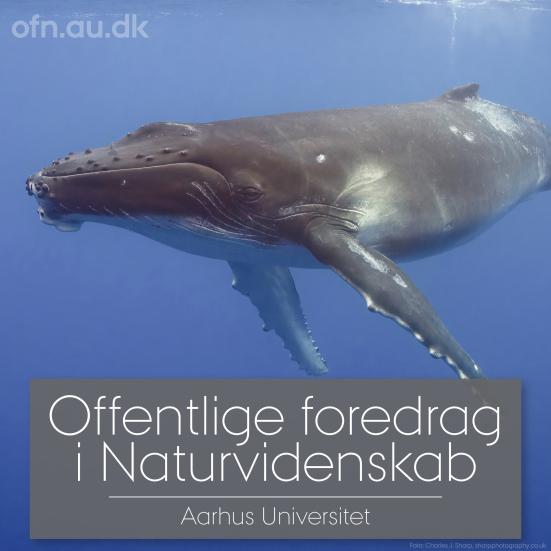 Logo for Offentlige foredrag i Naturvidenskab