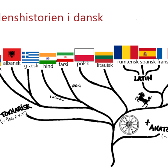 Grafik for Forskningens Døgn