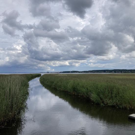Å løber ud i fjord