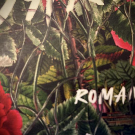 Rosarium forside udsnit