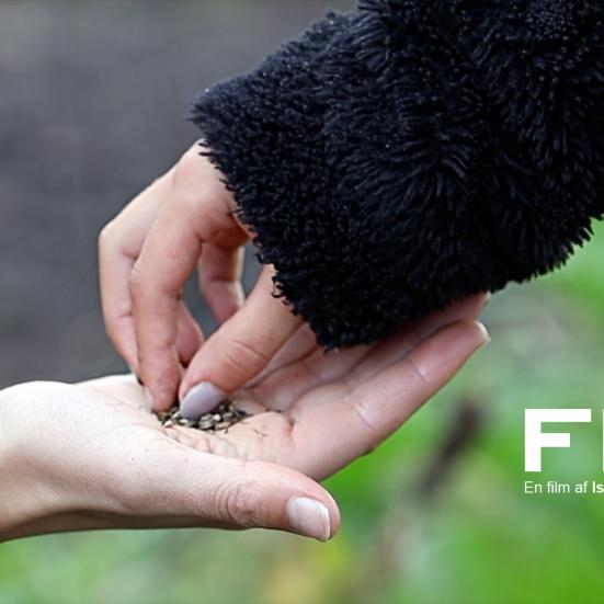 FRø filmbanner