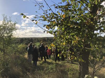 Mennesker samlet på Maglebjerg i Åmosen Foto: Rose Gaihede