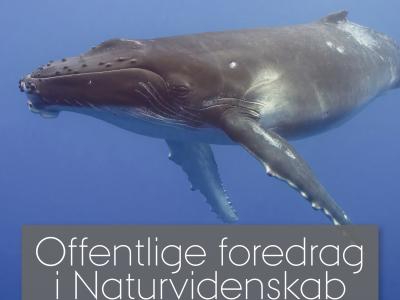 Logo for Offentlige foredrag i Naturvidenskab