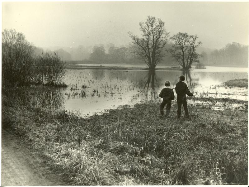 Gammelt fotografi fra naturområde i Sorø