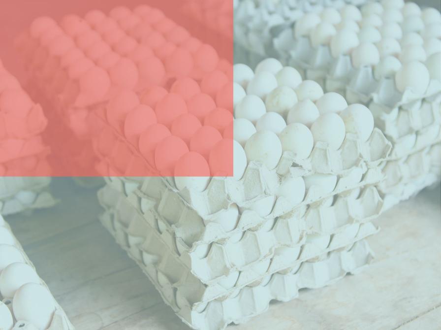 Grafik: Delingstjenesten