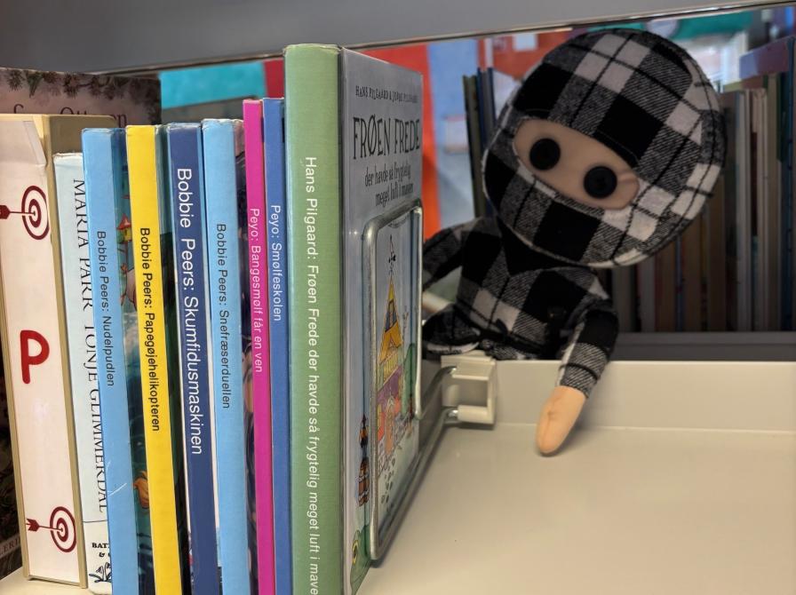 Fotografi af Ternet Ninja bag en bogreol