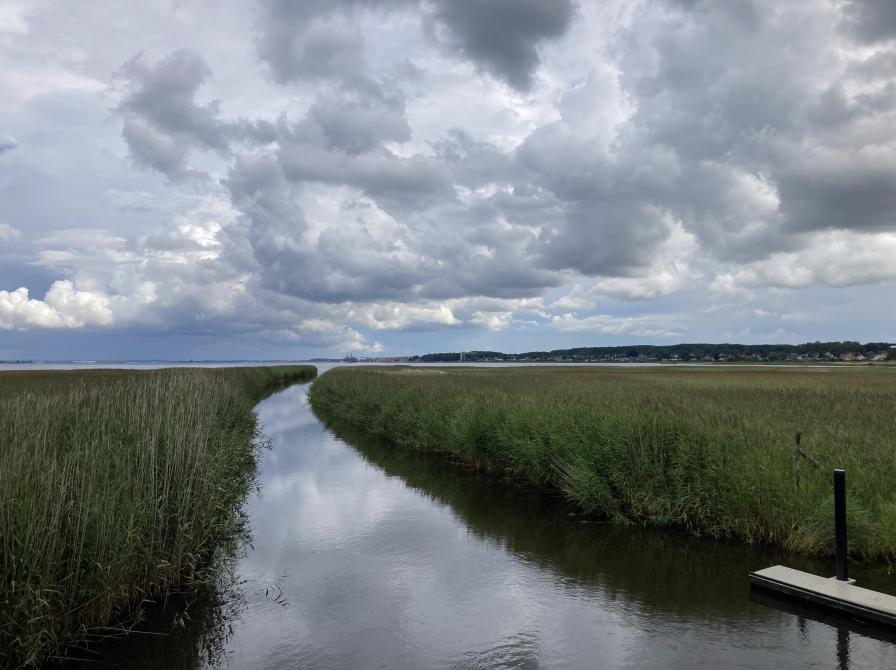 Å løber ud i fjord