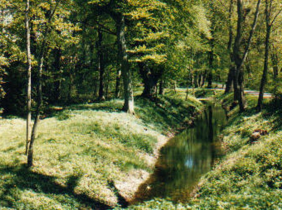 foto af Møllerenden