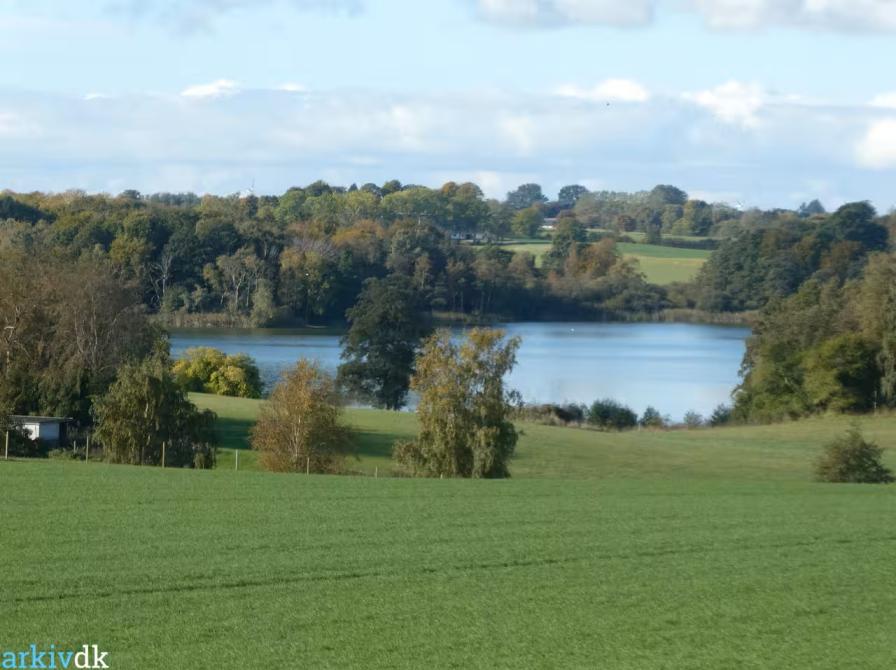 foto af Maglesø og naturen omkring