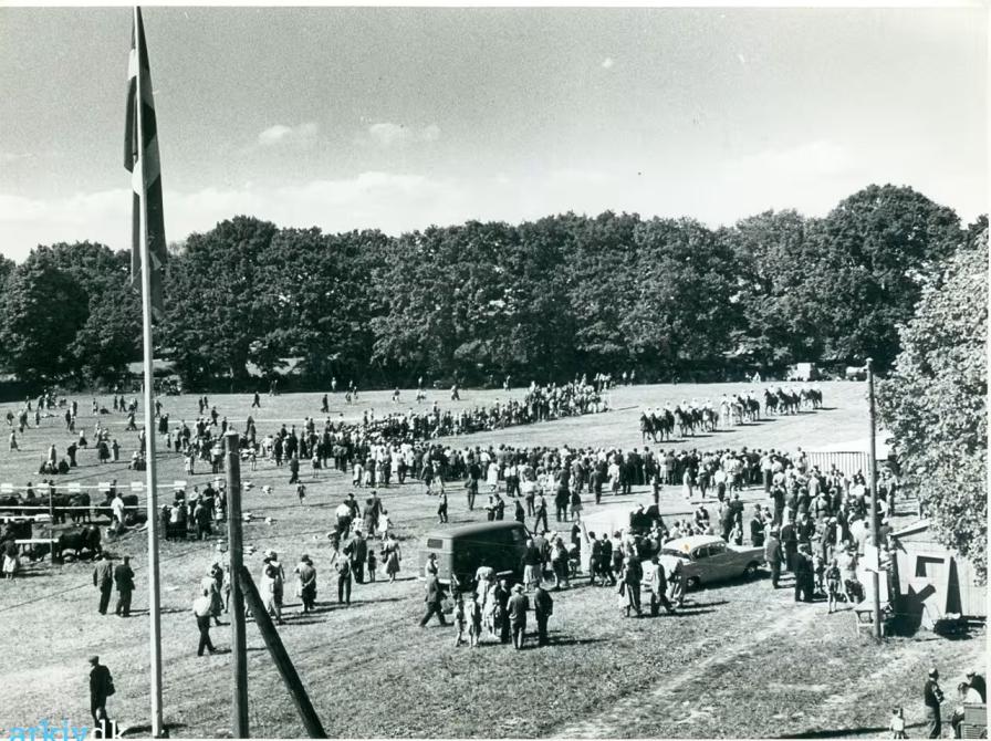 Foto af Dyrskuepladsen  i Sorø 1959 