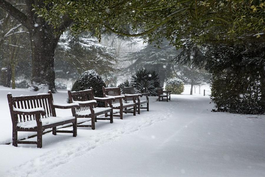 Fotografi af park i sne